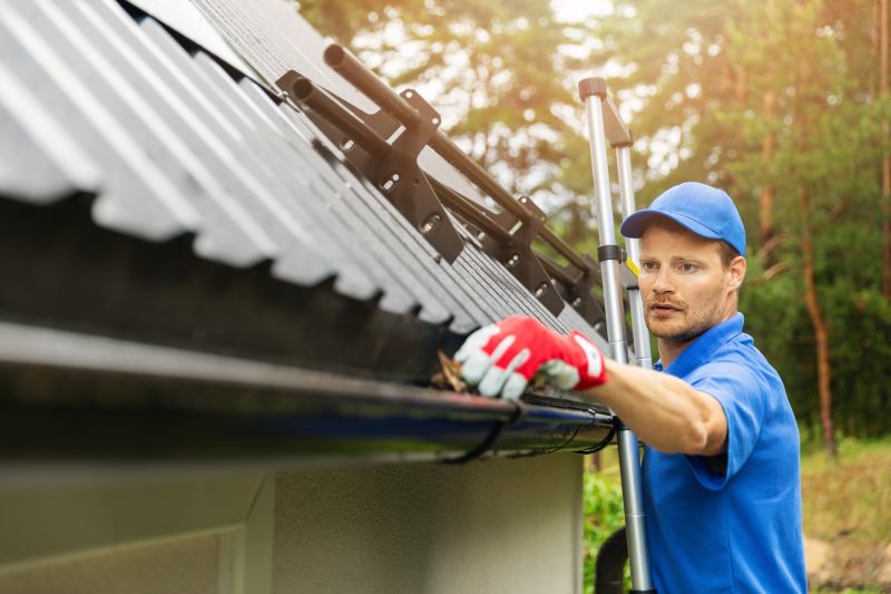 Professional Gutter Service