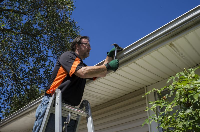 Professional Gutter Maintenance